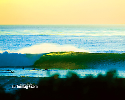 Surfer Magazine