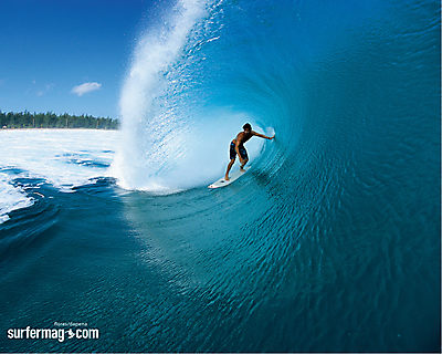 Surfer Magazine