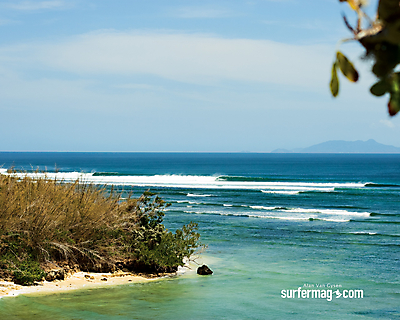 Surfer Magazine