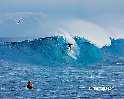 Surfer Magazine