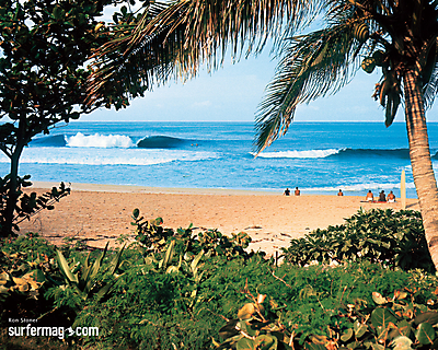 Surfer Magazine