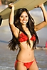 Surfer Girl
