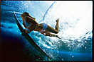 Surfer Girl