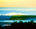 Surfer Magazine