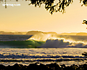 Surfer Magazine