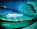 Surfer Magazine