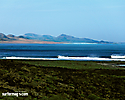 Surfer Magazine