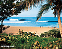 Surfer Magazine