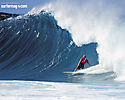 Surfer Magazine