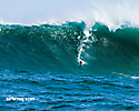 Surfer Magazine