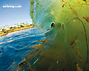 Surfer Magazine
