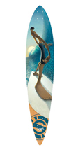 pintail43
