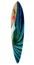 pintail40