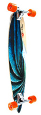 pintail40