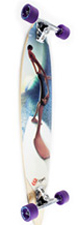 pintail40