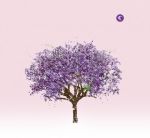 eels-tomorrow-morning