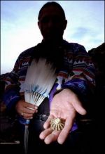 peyote