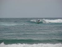 surf2