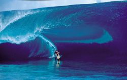 laird-hamilton-teahpoo