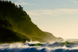 burkard_mendia