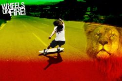 rasta 