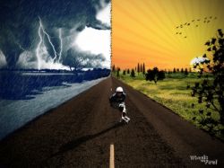straight-road