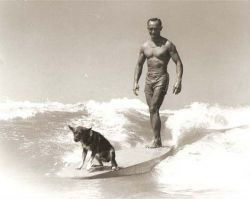 longboarding dog