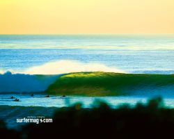paddle_out