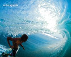 surfer  