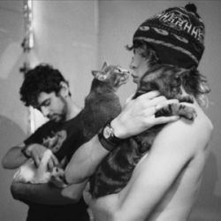 mgmt